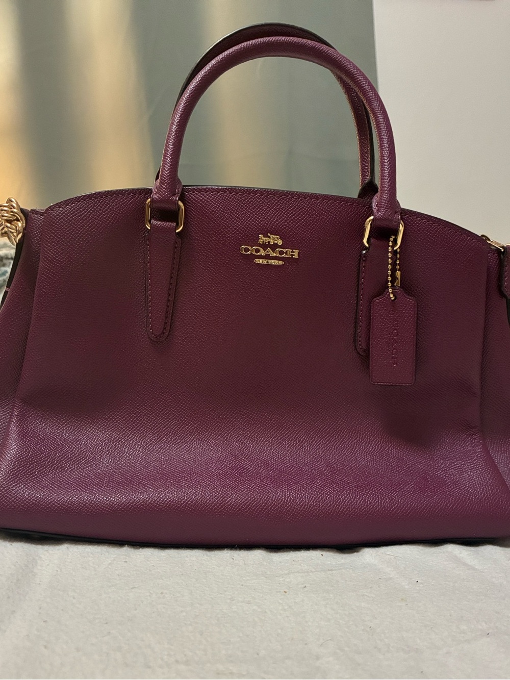 Coach Sage Carryall (Plum)